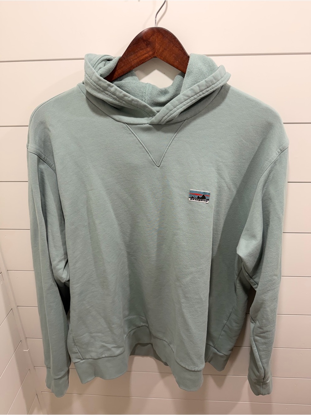 Patagonia Men's Daily Sweatshirt - Mint